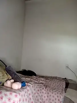 gatodepauduro online show from 18, 4, 2026