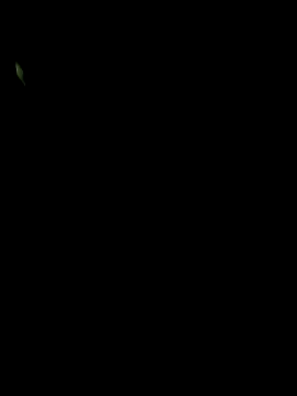 big12phase online show from 14, 3, 2026