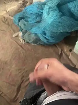 dragon ndragos online show from 3, 2, 2026