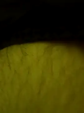 Snapshot of jajajaja322 chatting on 2, 2, 2026 jajajaja322 online show from 2, 2, 2026