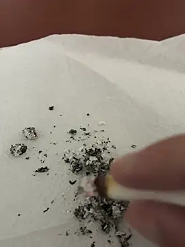 dickdondra online show from 2, 2, 2026