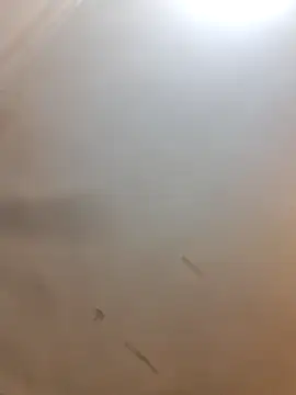 Cutytxx online show from 10, 2, 2026