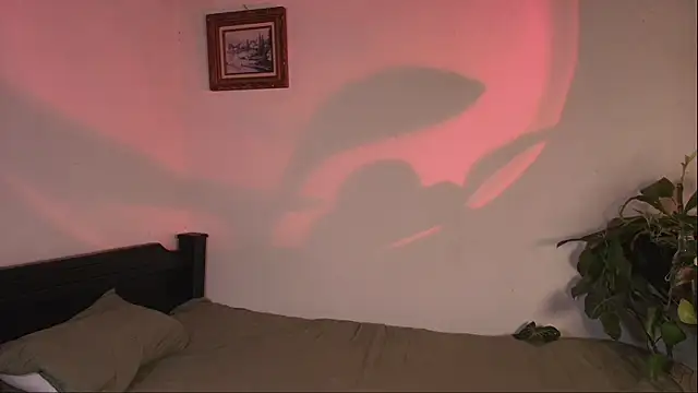 slowburnmystic online show from 11, 4, 2026