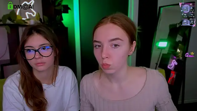 stella flower online show from 24, 3, 2026