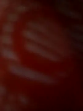 ROMASARKAR online show from 21, 3, 2026