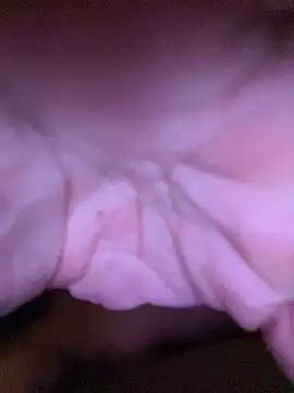 daddyybbpp online show from 11, 3, 2026