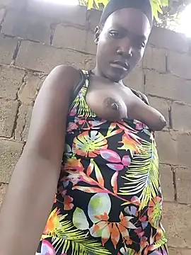 Bald gee online show from 12, 3, 2026