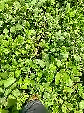 Cute Boy 4 online show from 9, 4, 2026