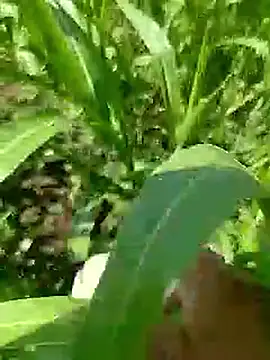 Snapshot of Cute_Boy_4 chatting on 23, 4, 2026 Cute Boy 4 online show from 23, 4, 2026