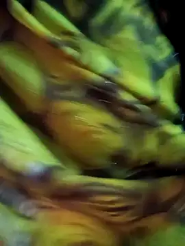 Snapshot of Muskan44s chatting on 17, 2, 2026 Muskan44s online show from 17, 2, 2026