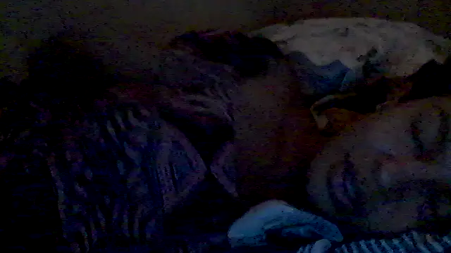 lorraine2036 online show from 17, 2, 2026