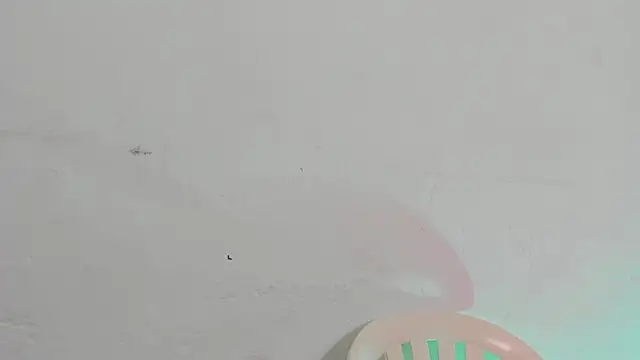 Emely pregnantt online show from 13, 2, 2026