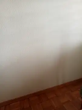 Snapshot of baipal74 chatting on 19, 2, 2026 baipal74 online show from 19, 2, 2026