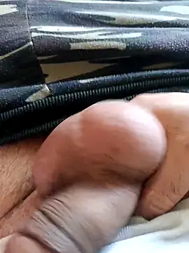 Snapshot of baipal74 chatting on 1, 3, 2026 baipal74 online show from 1, 3, 2026