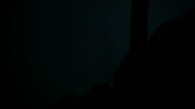 SussyFox online show from 8, 3, 2026