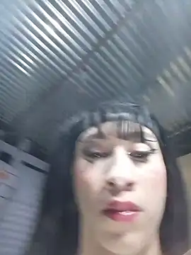 Doll Geishaa online show from 5, 2, 2026