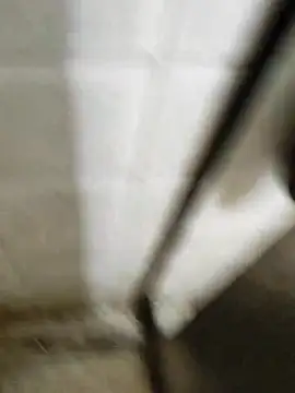 Gordinho dos pes online show from 20, 3, 2026