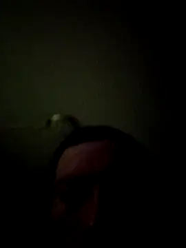 bigbooietx online show from 1, 3, 2026