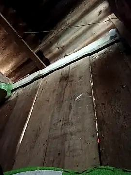 Small flower1 online show from 10, 2, 2026