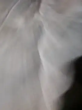 poke90201 online show from 22, 3, 2026