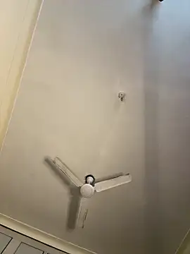 torchermachine online show from 8, 4, 2026