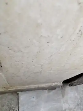 basyo2 online show from 24, 4, 2026