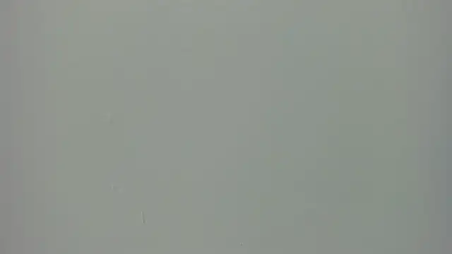 Snapshot of Raven_love chatting on 29, 4, 2026 Raven love online show from 29, 4, 2026