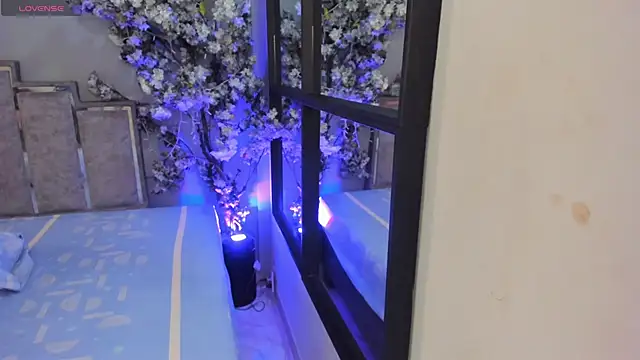 Snapshot of Nalapalmer chatting on 7, 2, 2026 Nalapalmer online show from 7, 2, 2026