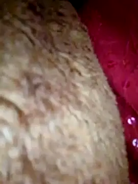 Talkwithsex online show from 1, 4, 2026