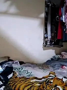 polla large active online show from 16, 4, 2026