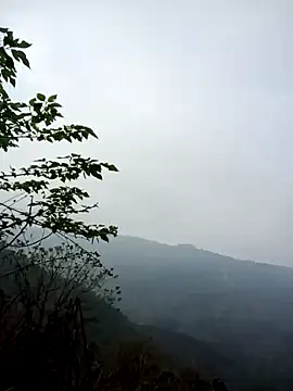 Snapshot of cuunon11 chatting on 1, 3, 2026 cuunon11 online show from 1, 3, 2026