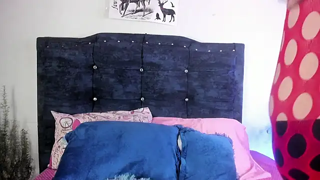 sexy diablaa online show from 3, 3, 2026