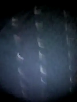 BIG QWEEN NO1 online show from 12, 3, 2026