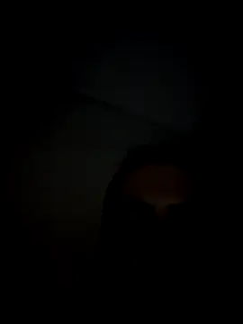 PelifiFilipee online show from 12, 2, 2026