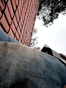 nego5628 online show from 1, 4, 2026