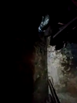 molly-xx online show from 13, 3, 2026