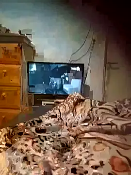 Morocha exotica00 online show from 21, 3, 2026