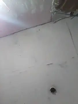 cobrosdepagos online show from 11, 4, 2026