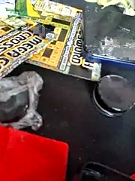 stressrliver88 online show from 15, 4, 2026