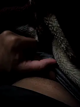 Snapshot of MoMnsi chatting on 25, 2, 2026 MoMnsi online show from 25, 2, 2026