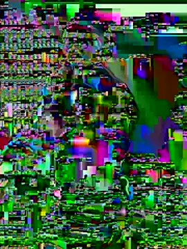 Valentinacouple online show from 8, 7, 2026
