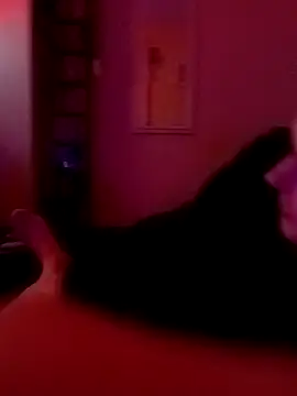 Snapshot of Filthyforall chatting on 23, 2, 2026 Filthyforall online show from 23, 2, 2026