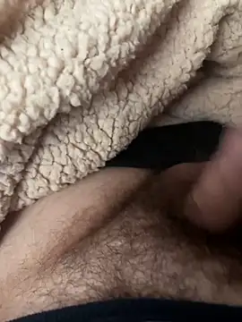 Snapshot of D4n13l47 chatting on 24, 2, 2026 D4n13l47 online show from 24, 2, 2026