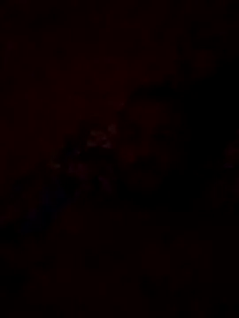 Blisiomar online show from 30, 5, 2026