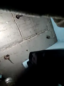 M Lisha online show from 25, 2, 2026