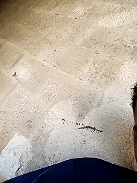 negopreto  online show from 24, 2, 2026