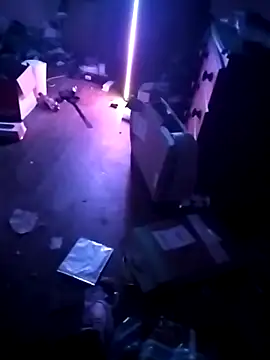 Snapshot of cexcitef chatting on 3, 3, 2026 cexcitef online show from 3, 3, 2026