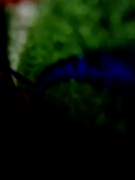 wifedesi7050 online show from 20, 4, 2026