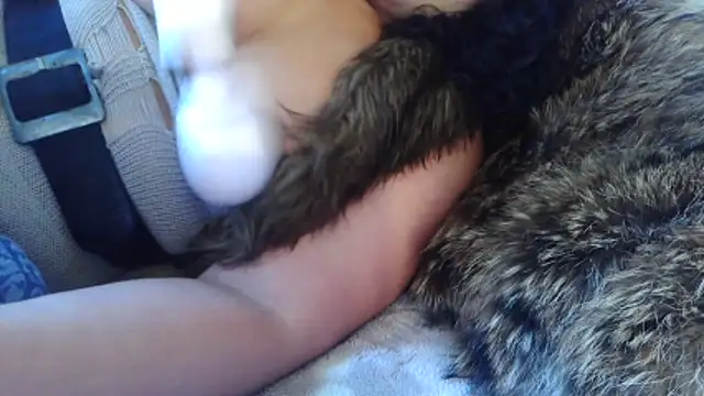 BunnyYT online show from 10, 3, 2026