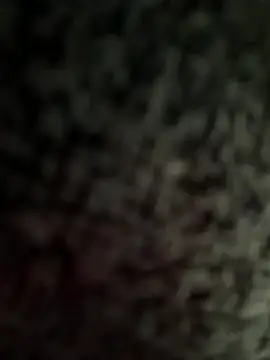 jesus-31 online show from 2, 4, 2026